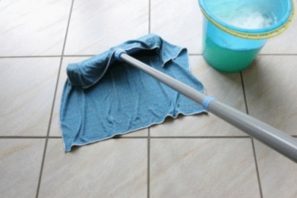 Как избавиться от пылевых клещей в доме