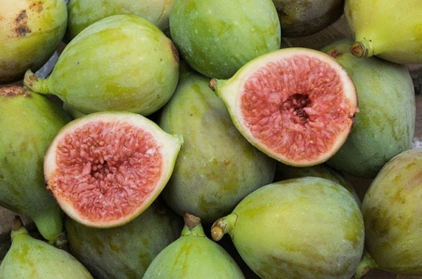 О чудесных свойствах этих плодов знали наши предки: 7 фактов о дереве здоровья и долголетия